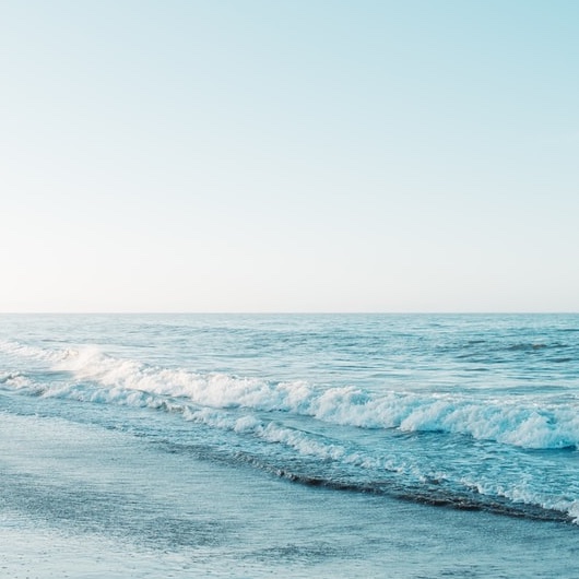 유사투자자문업 현황