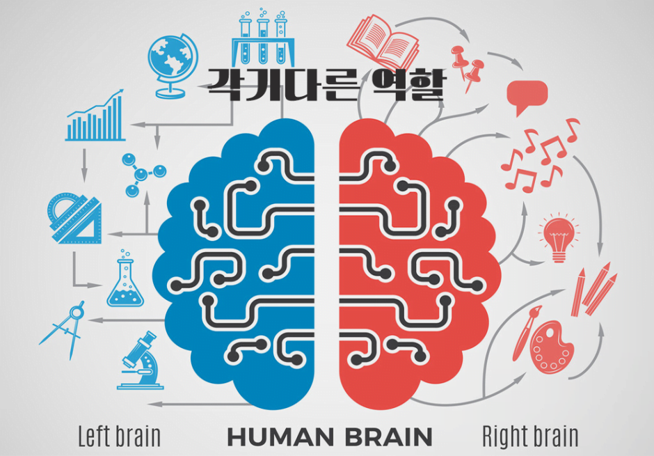 좌뇌 우뇌, 의식 무의식을 바로 알고 악습관 고치는 방법