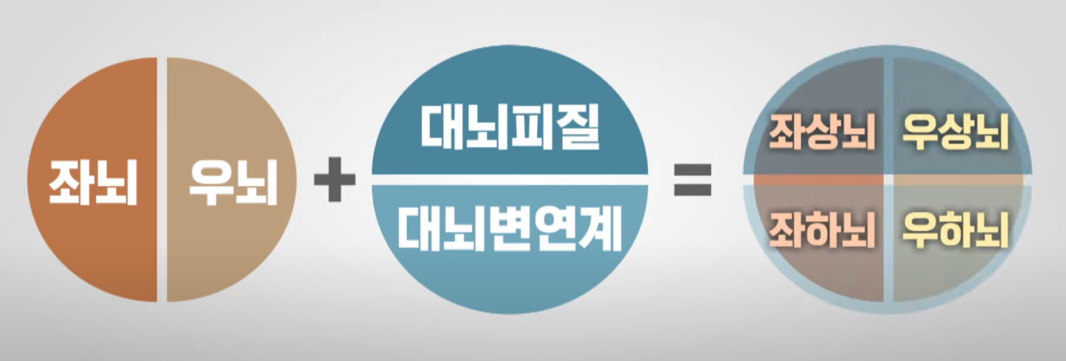 좌뇌 우뇌, 의식 무의식을 바로 알고 악습관 고치는 방법