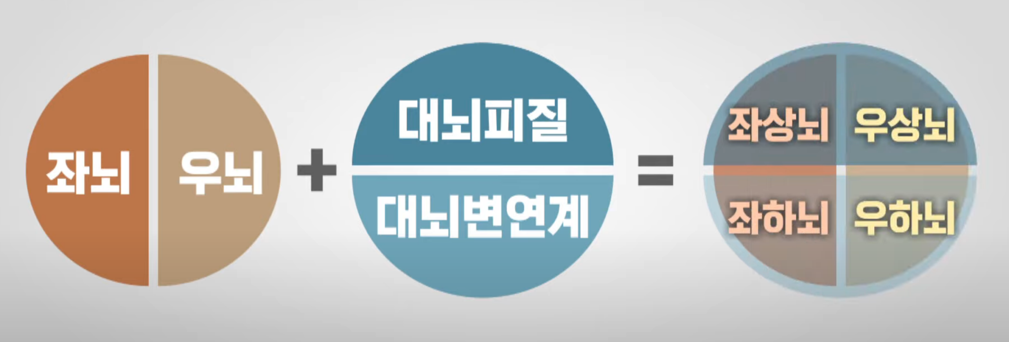 좌뇌 우뇌, 의식 무의식을 바로 알고 악습관 고치는 방법