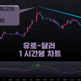 유로 달러 환율전망 시황분석 시세예상
