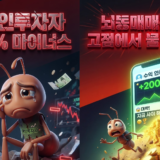 개인투자자-국내주식-손실률-손실계좌-해외주식