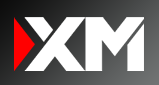 XM 로고